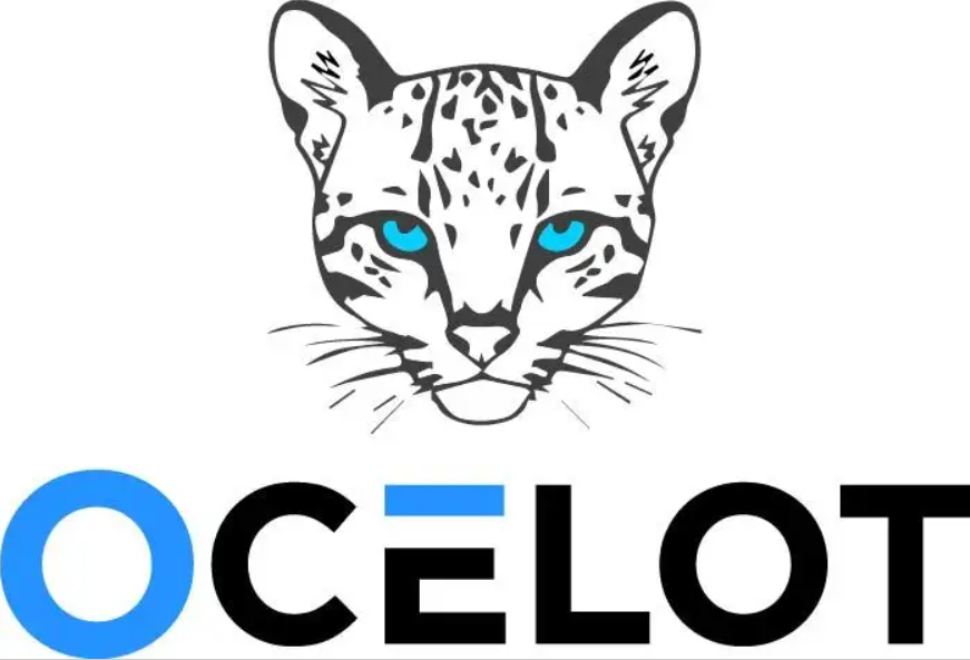 Ocelot API Gateway Training at ROGERSOFT